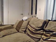 Enthousiasteling, Seksspeelgoed, Fetisj, Masturbatie, Roodharige vrouw, Rijden, Alleen, Tieten likken