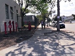 Grosser schwanz, Gehörnter ehemann, Interrassisch, Ablutschen