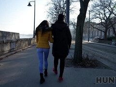 Bruinharig, Bedriegen, Man die toekijkt, Hd, Hongaars, Doordringend, Gezichtspunt, Geschoren