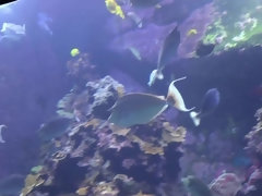 Любители, Пальцем, Эксгибиционист, Ласковые ручки, Оргазм, На природе, От первого лица, Подглядывание