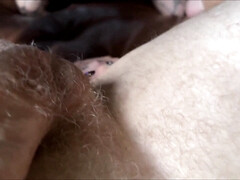 Kont, Pijpbeurt, Vriendje, Bruinharig, Gotisch, Orgasme, Tatoeage, Tieten likken