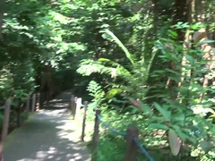 Anaal, Brillen, Latijnse vrouw, Masturbatie, Gezichtspunt, Kut duiken, Mager, Vibrator