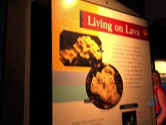 Rubia, Penetracion con dedos, Novia, Orgasmo, Al aire libre, Pov, Público, Tetas