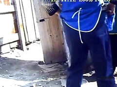 Schönheit, Blasen, Vollbusig, Klassisch, Süss, Orgasmus, Muschi, Titten