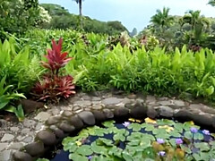 Grosse bite, Brunette brune, Hd, Lingerie, De plein air