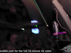 Leie, Arsch, Tussi, Braunhaarige, Verrückt, Gruppe, Hd, Titten