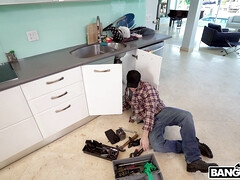 Жопа, Толстушки, Большая жопа, Черненькие, Толстые, Софткор, Соло, Тату