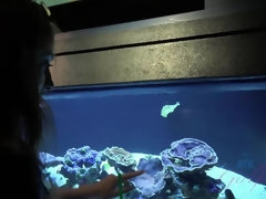 You take Kyler to the aquarium and she sucks your cock in the car.