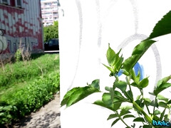 Enthousiasteling, Sperma in gezicht, Hardcore, Interraciaal, Masturbatie, Geld, Buiten, Gezichtspunt