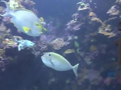 Leie, Bikini, Freundin, Nackt, Öl, Zierlich, Pov, Titten