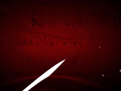 Genevieve Sinn pulverized while getting her face inked