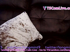 Verga grande, Corridas, Camara web