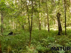 Красивые, Бабушки, Хд, Киски, Рыжие, Русские, Сауна, Бритые