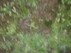 Большая жопа, Кончили внутрь, Фетиш, Латиноамериканки, Милф, На природе, На публике, Киски