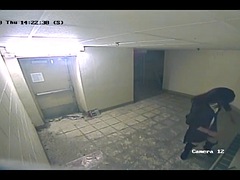 露出狂, シーメール