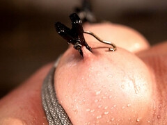 Большие сиськи, Бондаж, Секс без цензуры, Милф, Соски