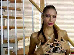 Checa, Afeitado, Solo