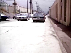 Hardcore, Orgie, Vintage