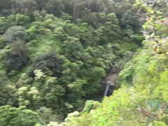 黒人, 指いじり, 露出狂, オーガズム, ハメ撮り, 剃毛, ガリガリ, 濡れ