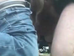 Enthousiasteling, Strand, Blond, Pijpbeurt, Sperma shot, Hondjeshouding, Groepseks, Hd