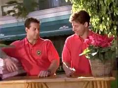 Playboy voluptuous vixens