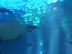 Amateur, Vestido, Novia, Orgasmo, Al aire libre, Pov, Coño, Voyeur