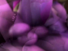 Dreidimensional, Gruppensex, Hd