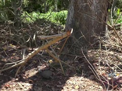 Leie, Strand, Blasen, Papi, Brille, Küssen, Im freien, Pov