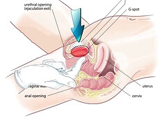 Anal, Mamada, Tetona, Clásico, Garganta profunda, Penetracion con dedos, Masaje, Natural
