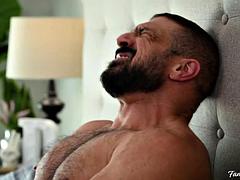 Anal, Verga grande, Mamada, Gay, Peludo, Músculo