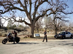 Любители, Большая жопа, Большие сиськи, Минет, В машине, Глубокая глотка, Милф, Киски