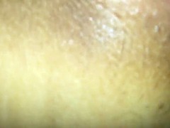 Amateur, Corrida, Cornudo, Alemán