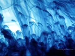 Amateur, Gros cul, Gros seins, Femme dominatrice, Mère que j'aimerais baiser, Nénés