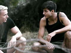 18 jaar, Kont naar mond, Bruinharig, Hondjeshouding, Homo, Handbeurt, Realiteit, Tiener