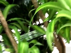 Африканки, Американки, Толстушки, Большая жопа, Минет, Член, Оргазм, Сиськи