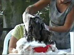 Hair wash after the party