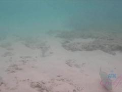 ビーチ, 露出狂, 彼女, キス, アウトドア, 小柄, オマンコ, 剃毛