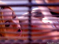 Noire, Blonde, Gode, Léchez, Seins naturels, Jarretelles, Tatouage, Jouets