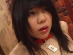 Fetiche, Sexo duro, Japonés, Tetas