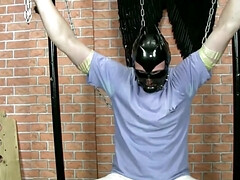 Enthousiasteling, Bondage discipline sadomasochisme, Dominatie, Europees, Vrouw, Pornster, Slaaf, Vrouw