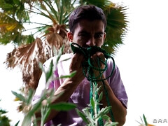 Kont, Grote lul, Pijpbeurt, Hardcore, Moeder die ik wil neuken, Kut duiken, Tieten likken, Nat