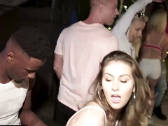 Américain, Gros seins, Noire, Collège université, Noir ébène, Partouze, Orgasme, Étudiant