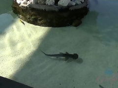 Leie, Grosse titten, Bikini, Freundin, Muschi, Rasiert, Dürr, Hoch