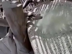 Amateur, Verga grande, Negro, Corrida, Sexo duro, Latina, Público, Adolescente