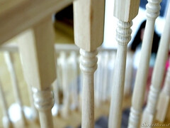 お尻, 黒人, 汚れた　, 毛深い, ラティーナ, 熟年, 淫乱熟女, オマンコ