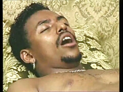 Африканки, Анальный секс, Жопа, Черные, Минет, Сперма во рту, Хд, Киски