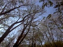 Anal, Gros cul, Grosse bite, Gros seins, Sucer une bite, Hard, Fait maison, Chatte