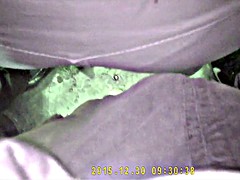 Amateur, Exhib, Masturbation, Voyeur