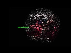 Voeten, Fetisj, Duits, Hd, Likken, Zuigen, Tiener, Trio