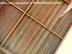 Enthousiasteling, Mooi, Bruinharig, Classisch, Schattig, Lul, Vrouw, Hd